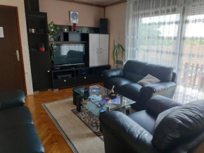  Apartment Viktorija  Осиек